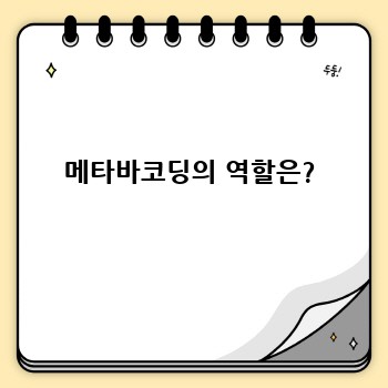 메타바코딩의 역할은?