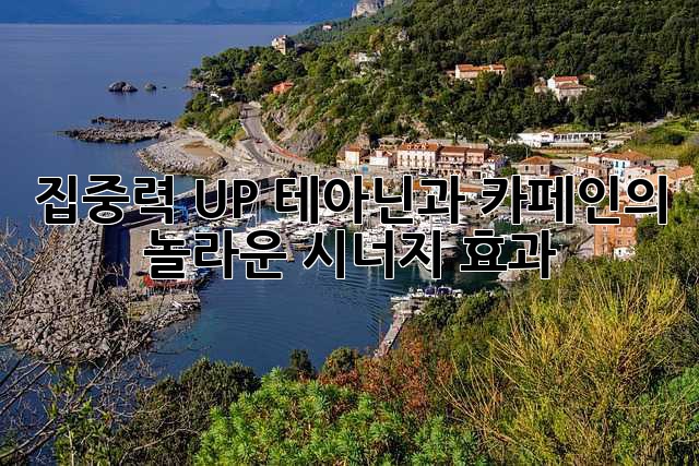 집중력 UP! 테아닌과 카페인의 놀라운 시너지 효과