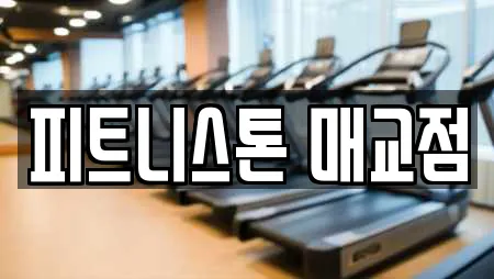 피트니스톤 매교점