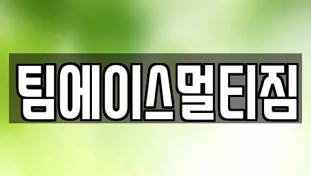 팀에이스멀티짐