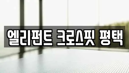 엘리펀트 크로스핏 평택