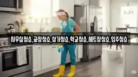 경기도 고양 덕양구 북한동 상가청소,청소업체,청소,입주청소,사무실청소 11 위치정보