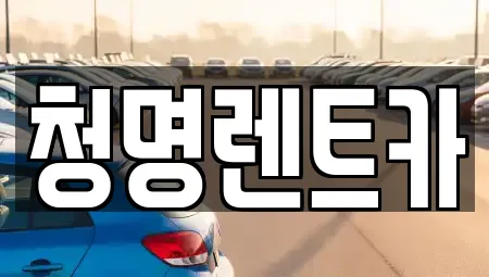 청명렌트카