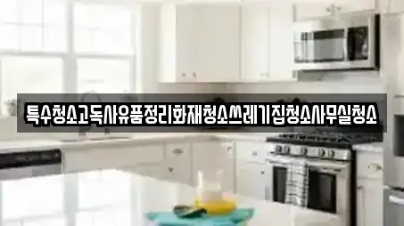 특수청소고독사유품정리화재청소쓰레기집청소사무실청소