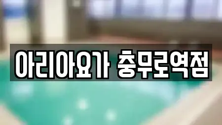 아리아요가 충무로역점