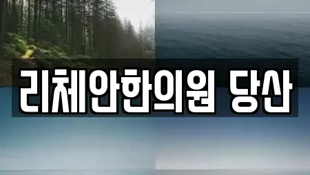 리체안한의원 당산