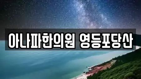 아나파한의원 영등포당산