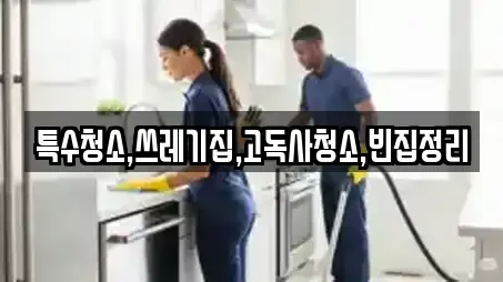 특수청소,쓰레기집,고독사청소,빈집정리