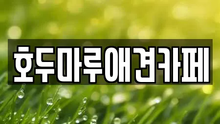 호두마루애견카페