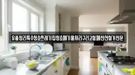유품정리특수청소쓰레기집청소폐기물처리구리고철폐전선철거전문