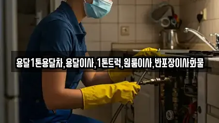 원룸이사 전문 충남 홍성군 모음 13