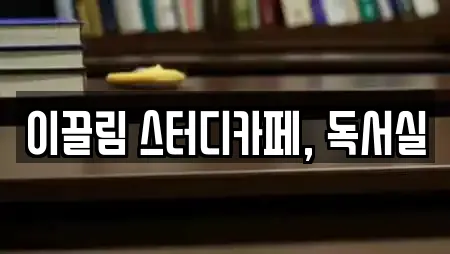 이끌림 스터디카페, 독서실