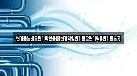 변기뚫는비용변기막혔을때변기막힘변기뚫음변기역류변기뚫는곳