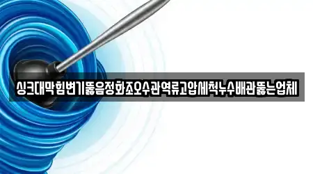 싱크대막힘변기뚫음정화조오수관역류고압세척누수배관뚫는업체