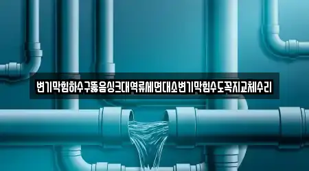 변기막힘하수구뚫음싱크대역류세면대소변기막힘수도꼭지교체수리