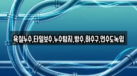 욕실누수,타일보수,누수탐지,방수,하수구,언수도녹임