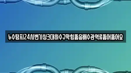 누수탐지24시변기싱크대하수구막힘뚫음배수관역류뚫어뚫어요