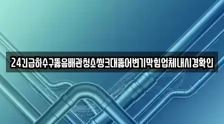 24긴급하수구뚫음배관청소씽크대뚫어변기막힘업체내시경확인