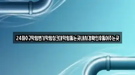 24하수구막힘변기막힘싱크대막힘뚫는곳내시경확인후뚫어주는곳