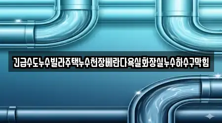 긴급수도누수빌라주택누수천장베란다욕실화장실누수하수구막힘
