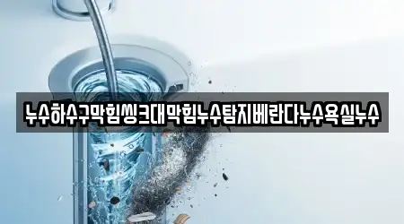 누수하수구막힘씽크대막힘누수탐지베란다누수욕실누수