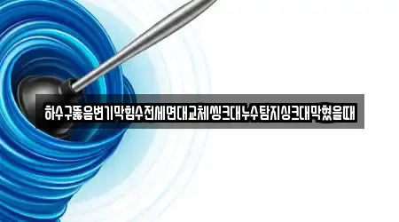 하수구뚫음변기막힘수전세면대교체씽크대누수탐지싱크대막혔을때