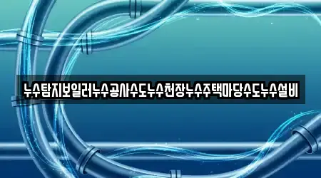 누수탐지보일러누수공사수도누수천장누수주택마당수도누수설비