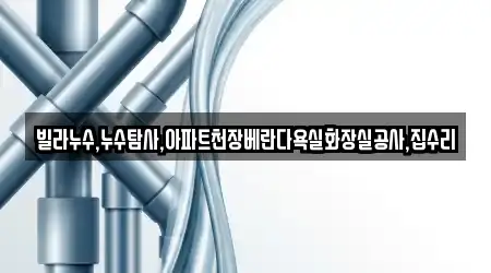 빌라누수,누수탐사,아파트천장베란다욕실화장실공사,집수리