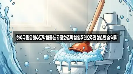 하수구뚫음하수도막힘뚫는곳정화조막힘횡주관오주관청소맨홀역류