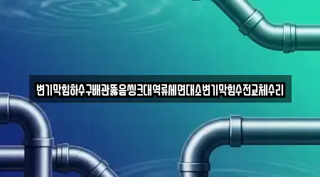 변기막힘하수구배관뚫음씽크대역류세면대소변기막힘수전교체수리