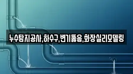 김제 금산면에서 찾아본 하수구막힘 5곳