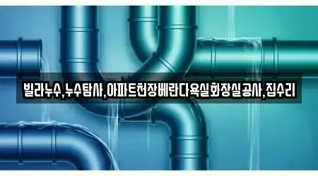 빌라누수,누수탐사,아파트천장베란다욕실화장실공사,집수리
