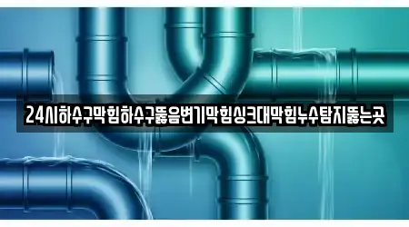24시하수구막힘하수구뚫음변기막힘싱크대막힘누수탐지뚫는곳