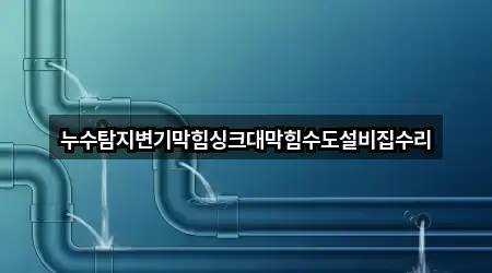 누수탐지변기막힘싱크대막힘수도설비집수리