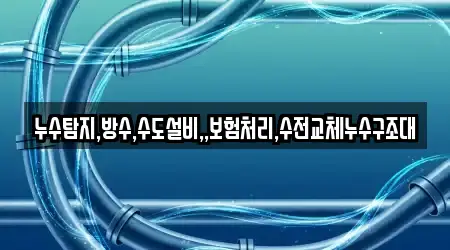 누수탐지,방수,수도설비,,보험처리,수전교체누수구조대