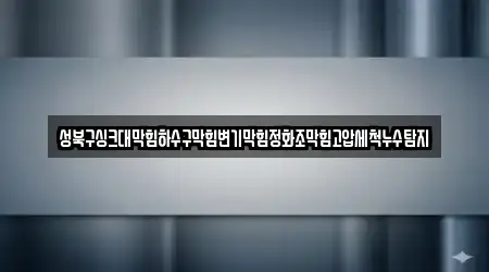성북구싱크대막힘하수구막힘변기막힘정화조막힘고압세척누수탐지