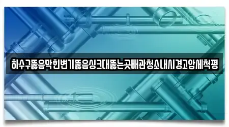 하수구뚫음막힌변기뚫음싱크대뚫는곳배관청소내시경고압세척펑