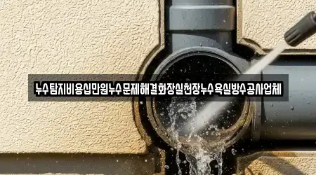누수탐지비용십만원누수문제해결화장실천장누수욕실방수공사업체