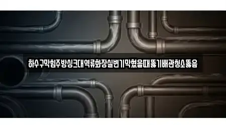 하수구막힘주방싱크대역류화장실변기막혔을때뚫기배관청소뚫음