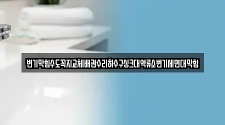 변기막힘수도꼭지교체배관수리하수구싱크대역류소변기세면대막힘