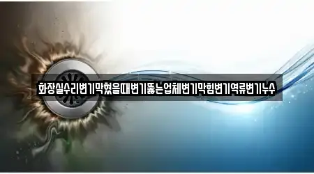 화장실수리변기막혔을때변기뚫는업체변기막힘변기역류변기누수