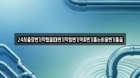 24시출장변기막혔을때변기막힘변기역류변기뚫는비용변기뚫음