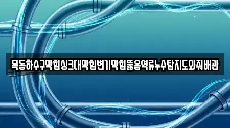 목동하수구막힘싱크대막힘변기막힘뚫음역류누수탐지도와줘배관