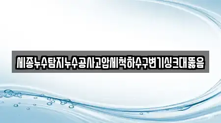 세종누수탐지누수공사고압세척하수구변기싱크대뚫음