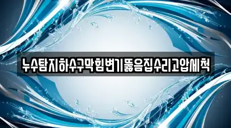 누수탐지하수구막힘변기뚫음집수리고압세척