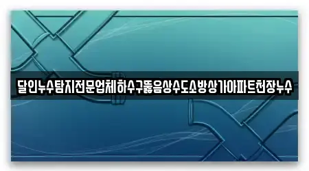 달인누수탐지전문업체하수구뚫음상수도소방상가아파트천장누수