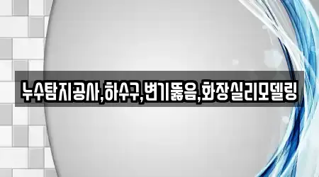 누수탐지공사,하수구,변기뚫음,화장실리모델링
