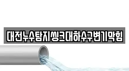 대전누수탐지씽크대하수구변기막힘