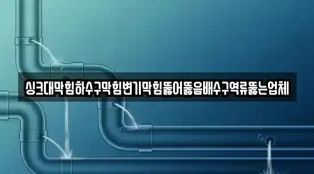 울산광역시 성남동 배수구 뚫음 영업중 2곳