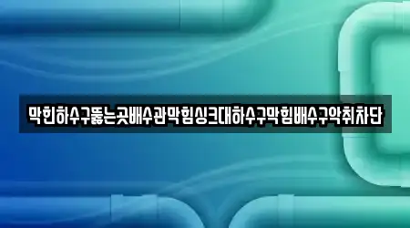 막힌하수구뚫는곳배수관막힘싱크대하수구막힘배수구악취차단